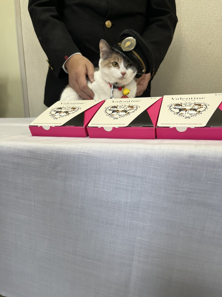 駅長たま (@ekichoTAMA) / Posts / X