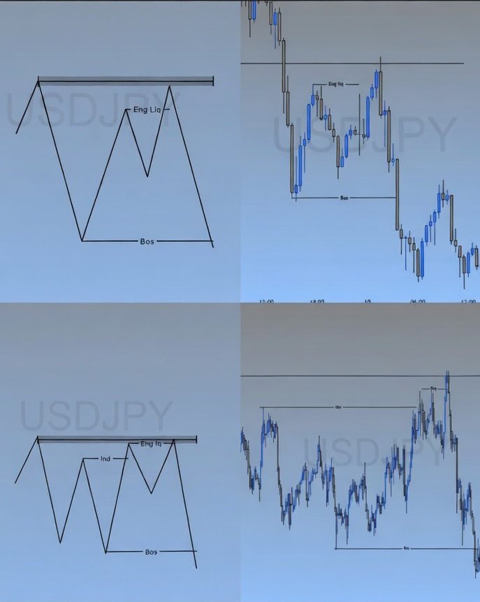 Manuella tweet media