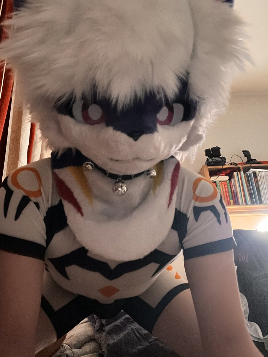 笨小狗淩云 tweet media