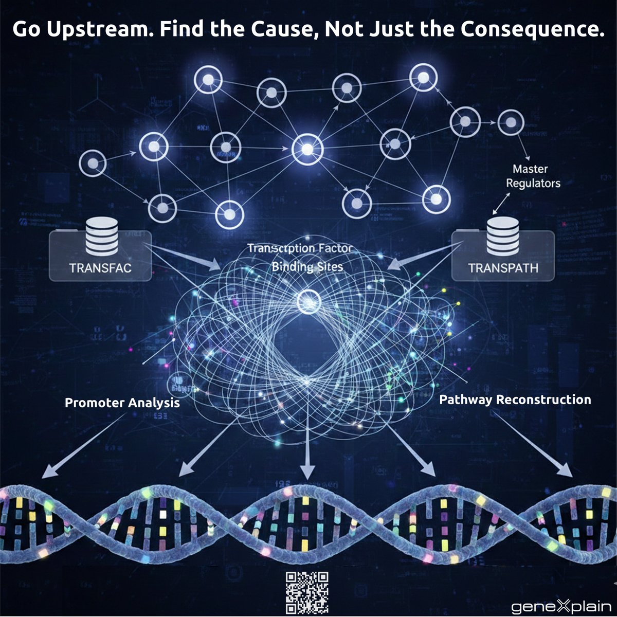 geneXplain GmbH tweet media