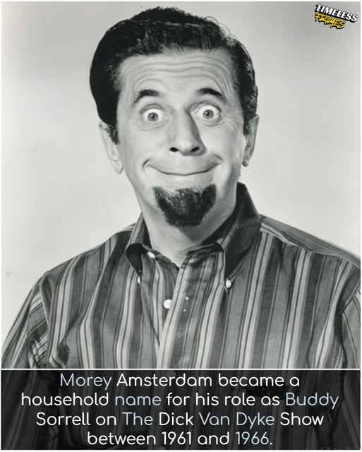 CTempestade's tweet image. Morey Amsterdam stand with a very cheeky and funny expression, perhaps telling a clever joke and wearing a sharp 1960s suit. #TimelessFrames #ClassicMASH #Oldies #GoldenEra