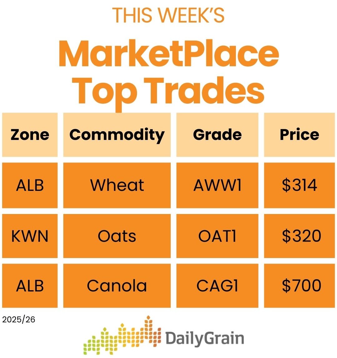 DailyGrain tweet media