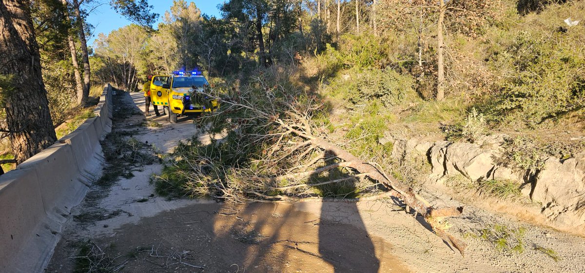 ADF Rossend Montané tweet media