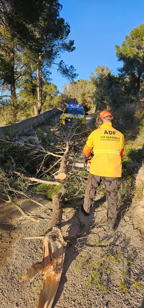 ADF Rossend Montané tweet media