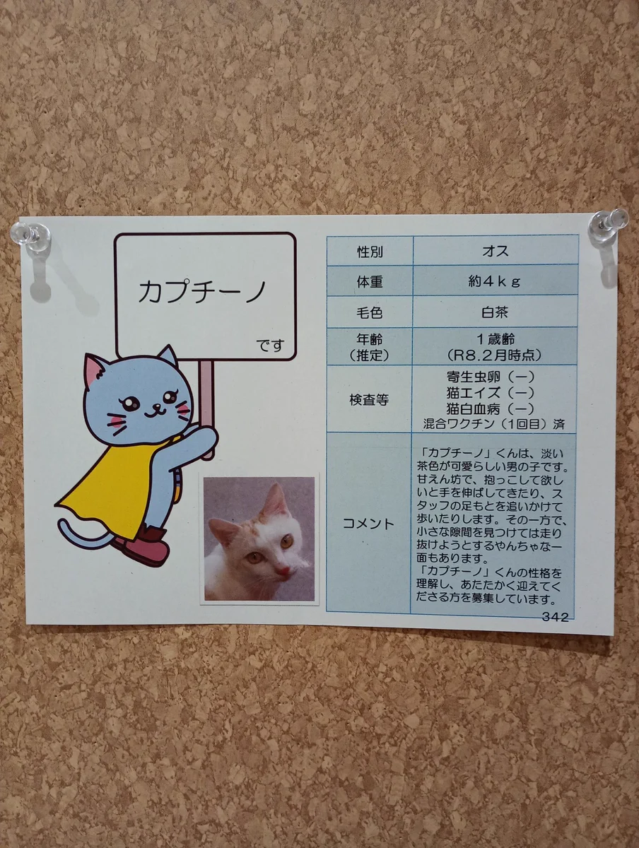 秋田県動物愛護センター「ワンニャピアあきた」 on X: 