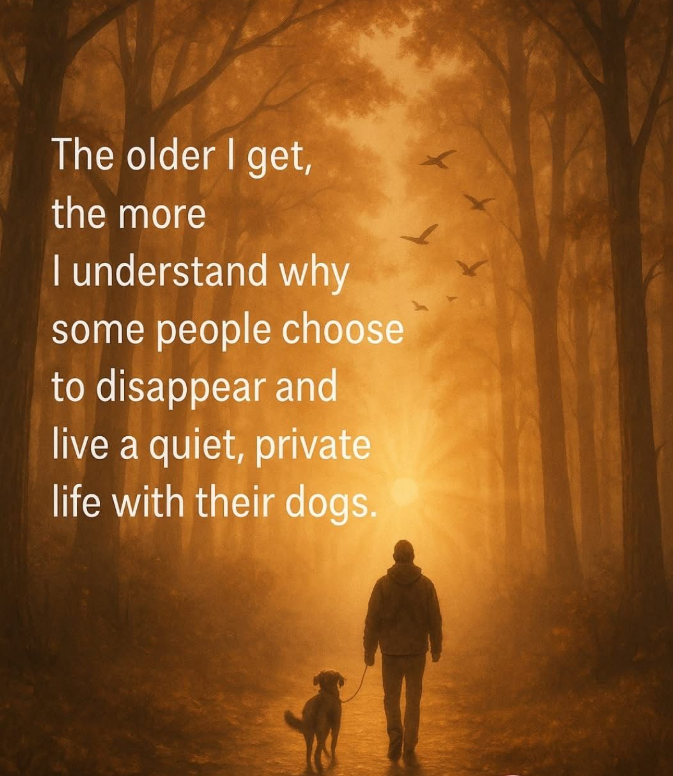 𝕏 Dogs (@_xdogs) on Twitter photo 