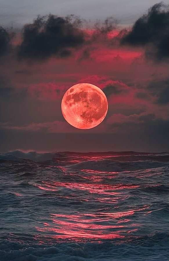 MOON (@dailymoonx) on Twitter photo 