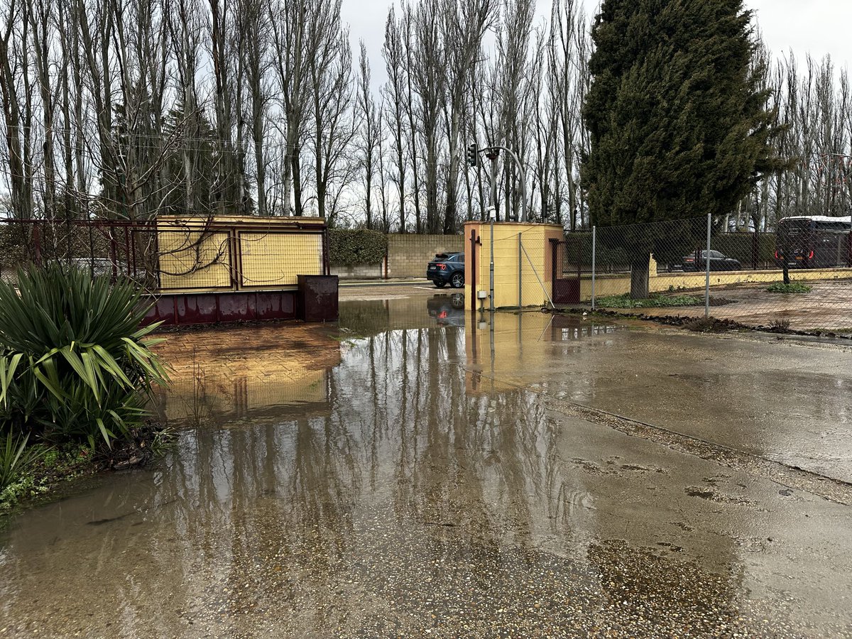 Libertad tweet media