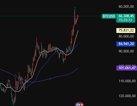 cestercrypto's tweet image. MOON $BTC