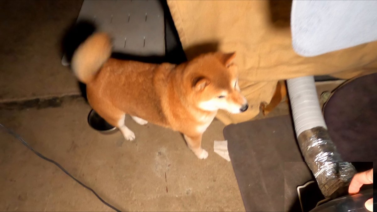 マヨネ (@GMJpaCSCbuIDYDw) / Posts / X