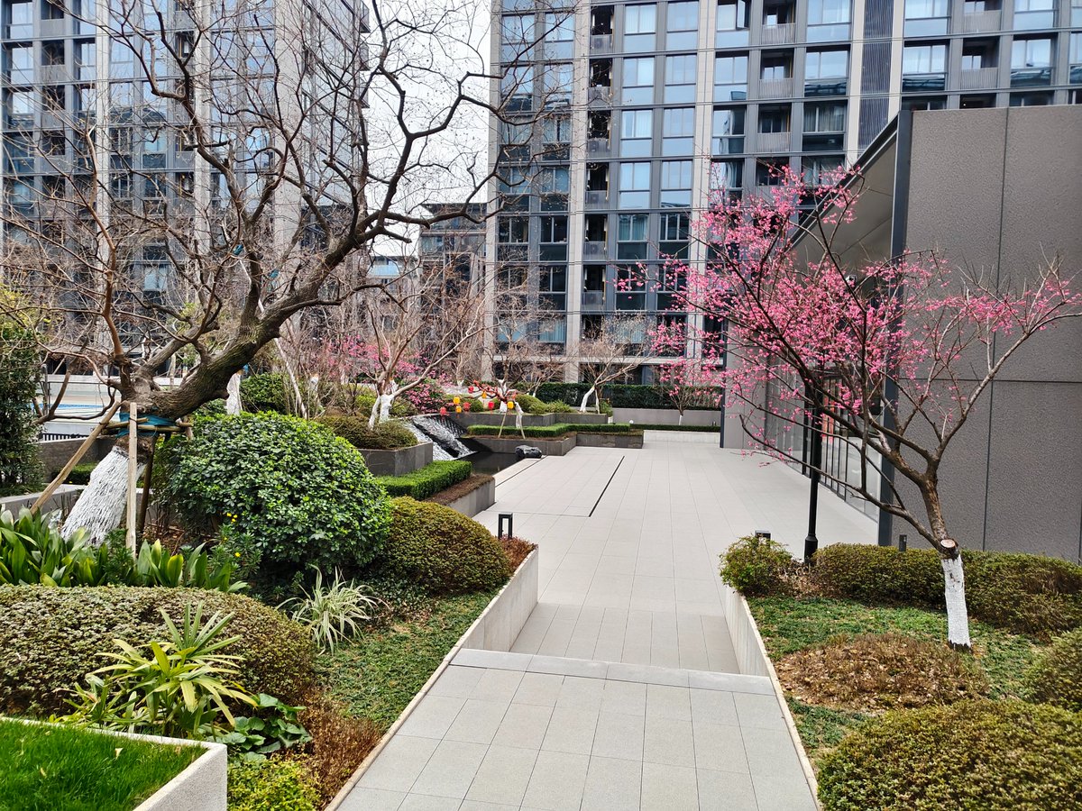 一夏过火🔥老铁 tweet media