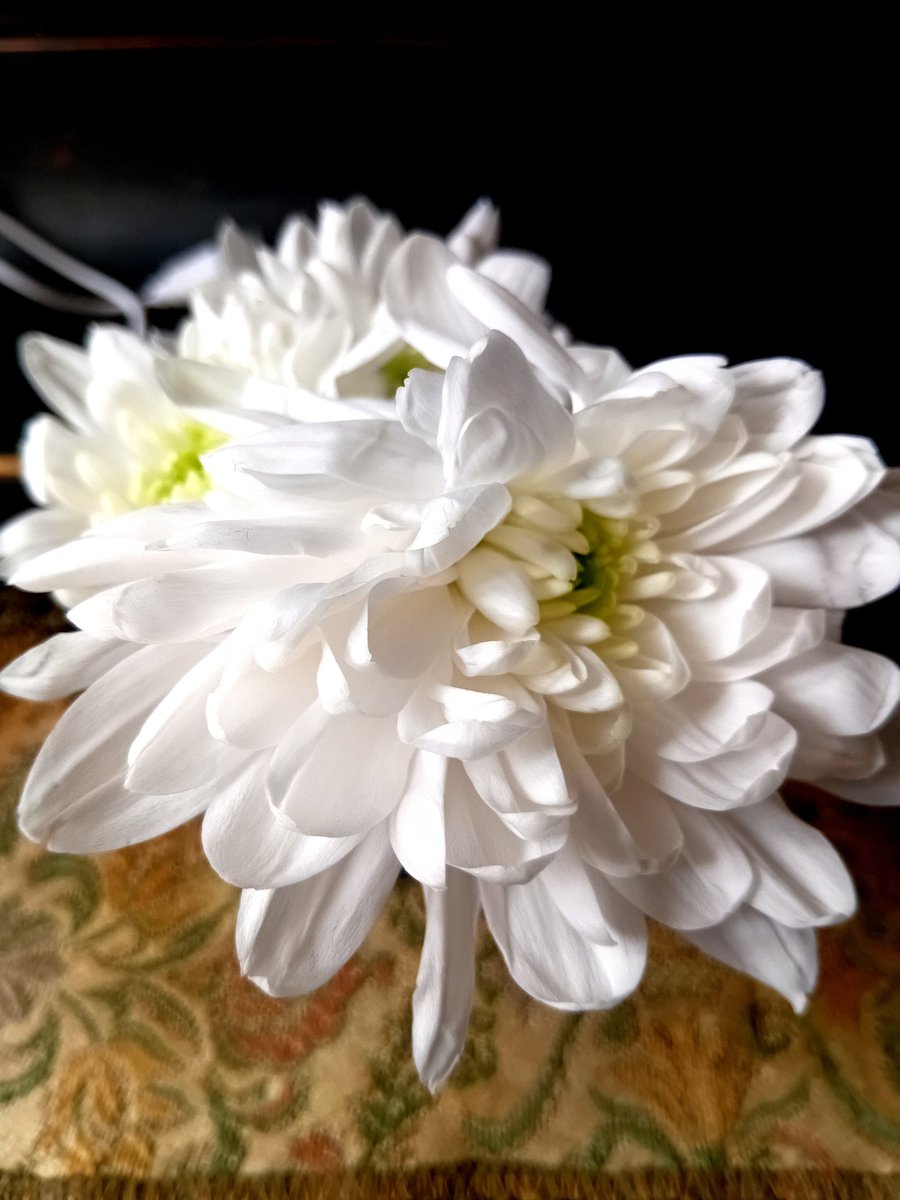 Катерина Галич tweet media