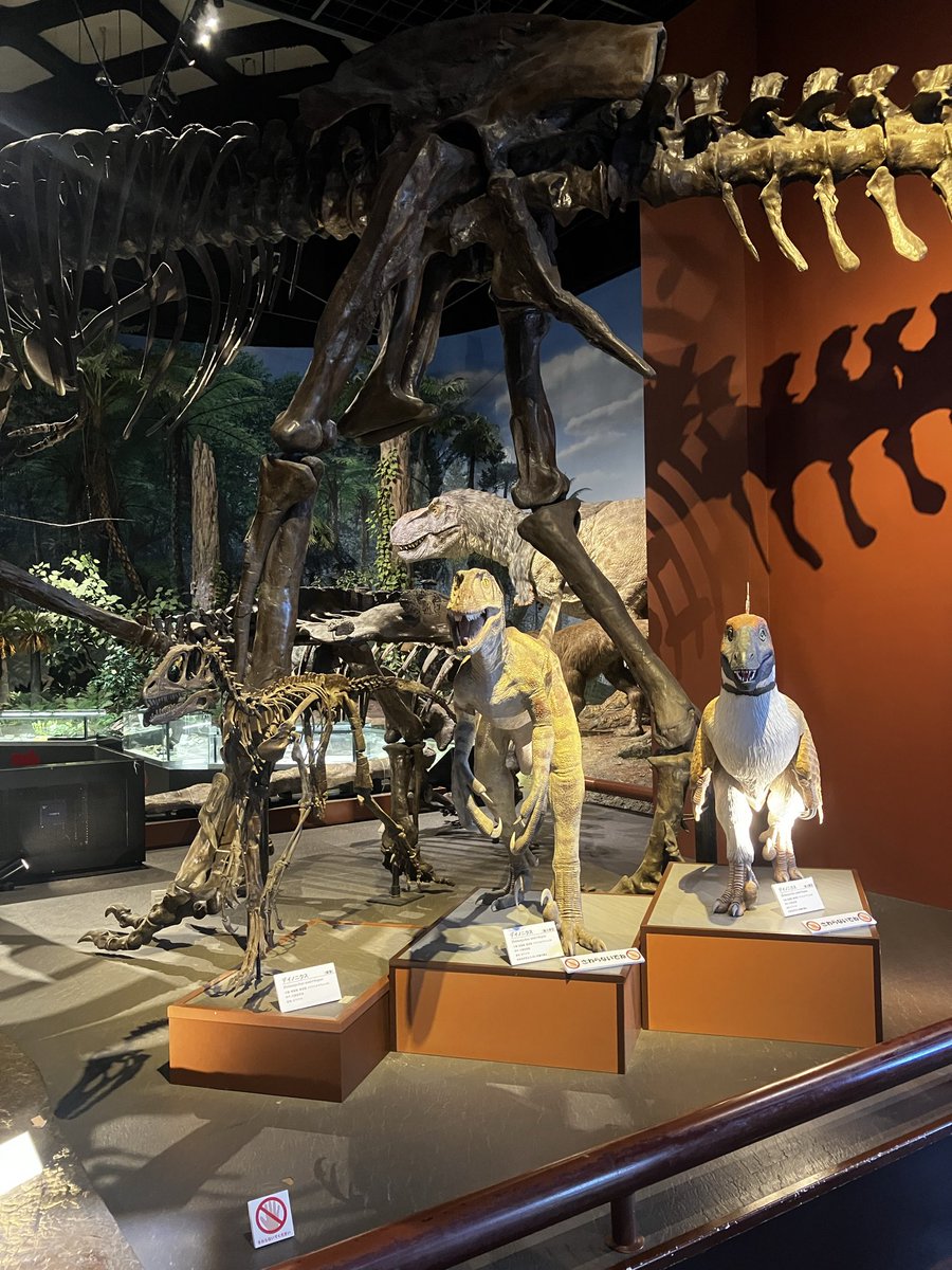 茨城県自然博物館 展示にも 記念メダルが‼️ #記念メダル #茶平工業