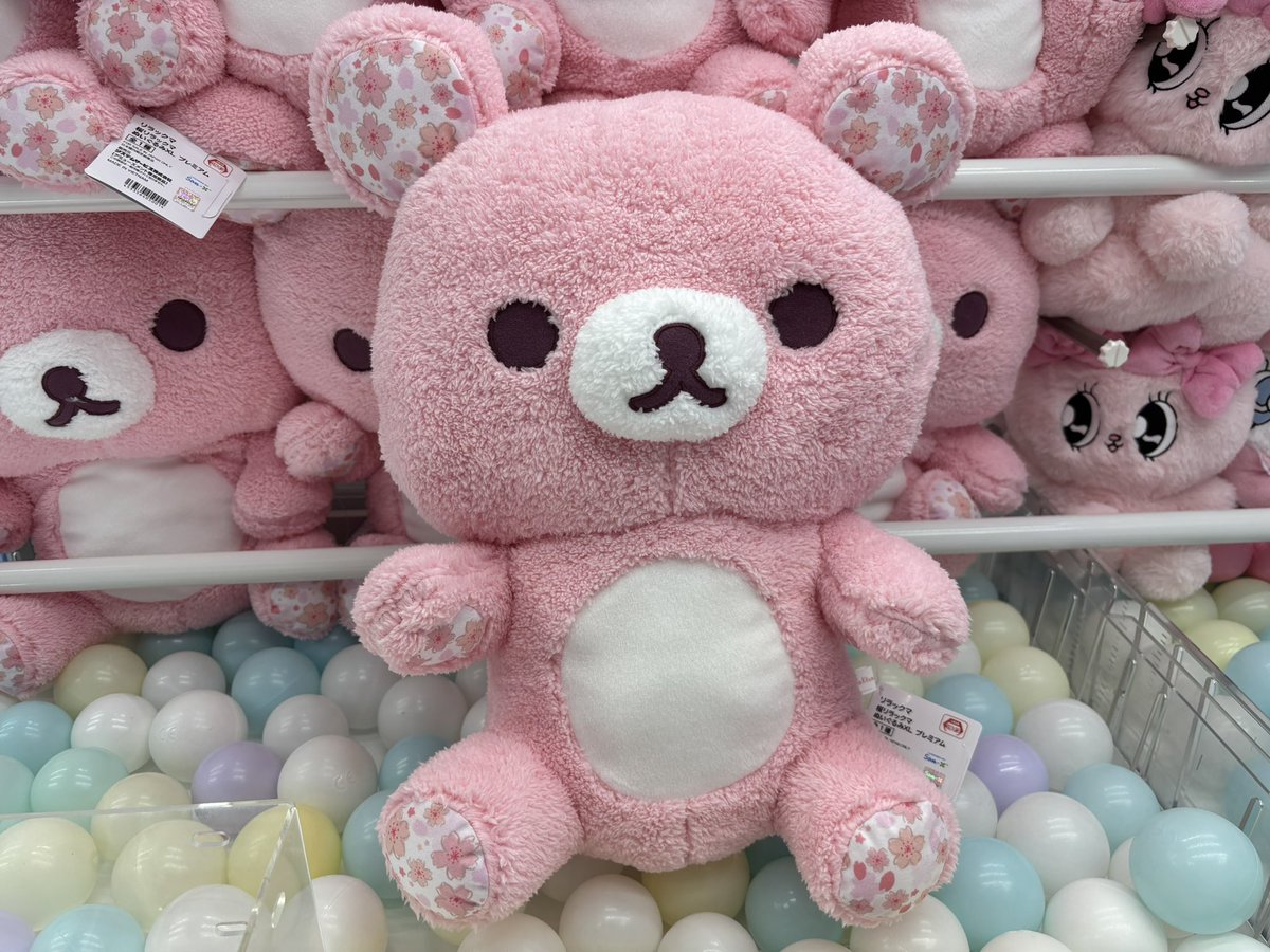 入荷情報】 リラックマ 桜リラックマ ぬいぐるみXL プレミアム 入荷