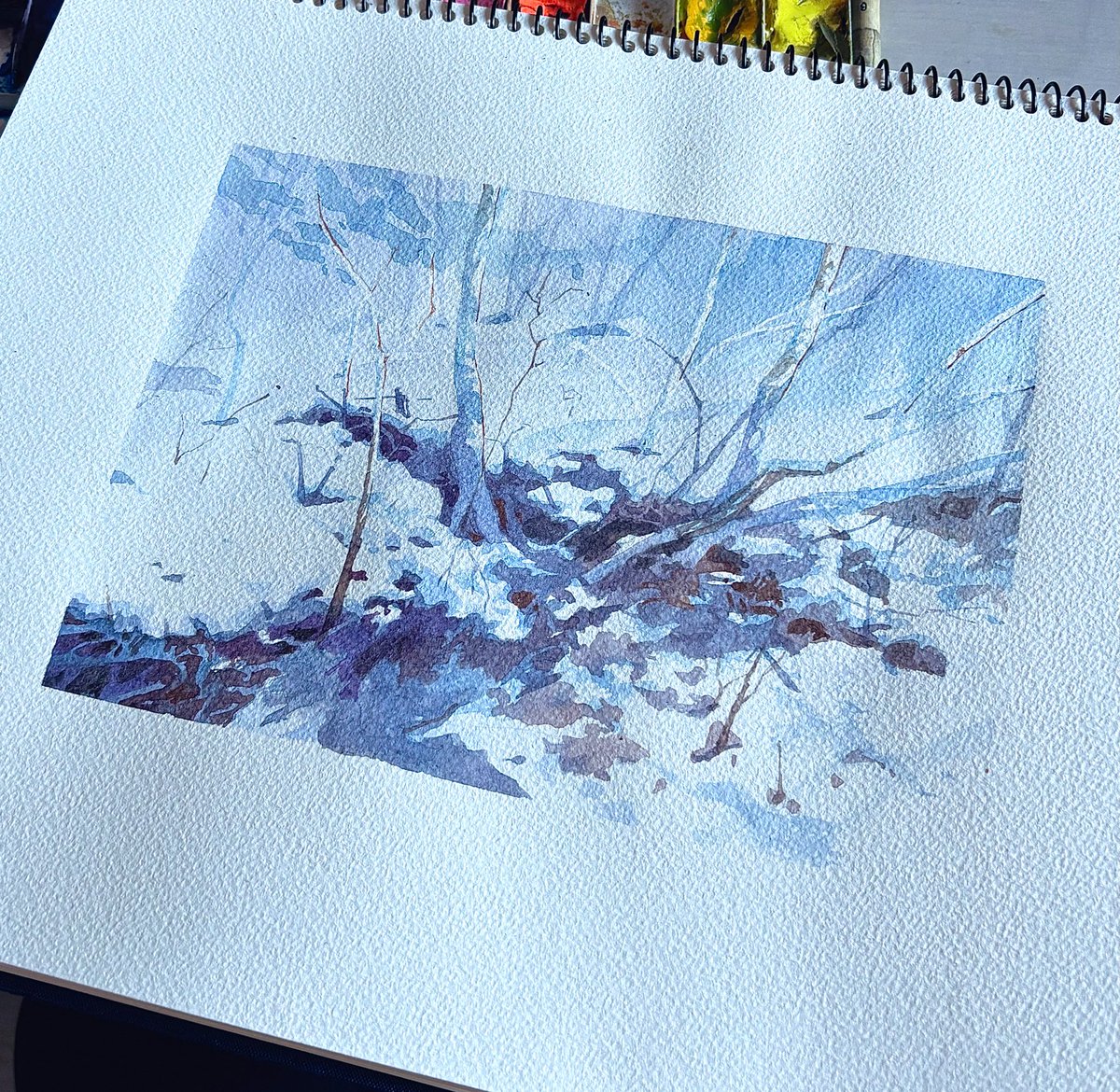 ELL / Yuuka Suzuki tweet media