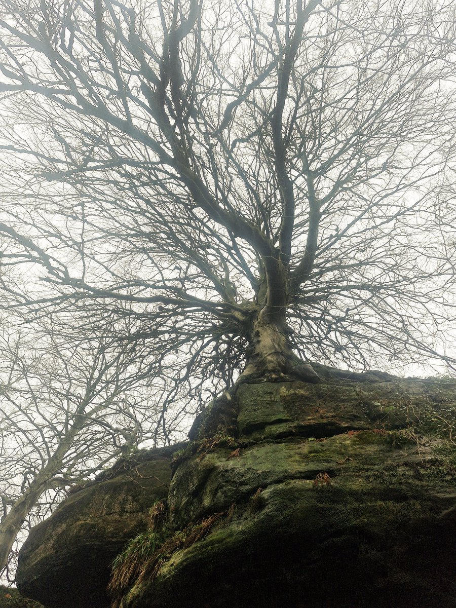 🖤🖤🖤
Happy Friday 13th Everyone!!!