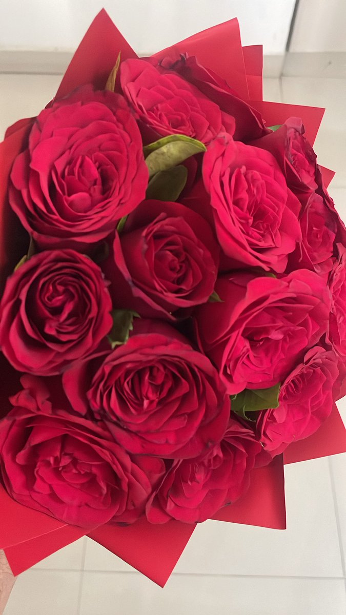 The Dumb Coder tweet media