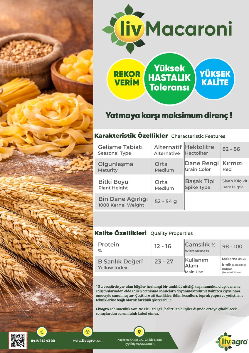 livagro_'s tweet photo. KONTROLLÜ GÜÇ, YÜKSEK VERİM🌾

Yeni nesil üretim anlayışıyla geliştirilen LivMacaroni Sertifikalı Buğday Tohumu, güçlü kök yapısı ve yüksek adaptasyon kabiliyetiyle tarlanızda fark oluşturur.

Toprağın gücünü doğru tohumla buluşturun.

#LivMacaroni #LivAgro https://t.co/HP45wEFQGC