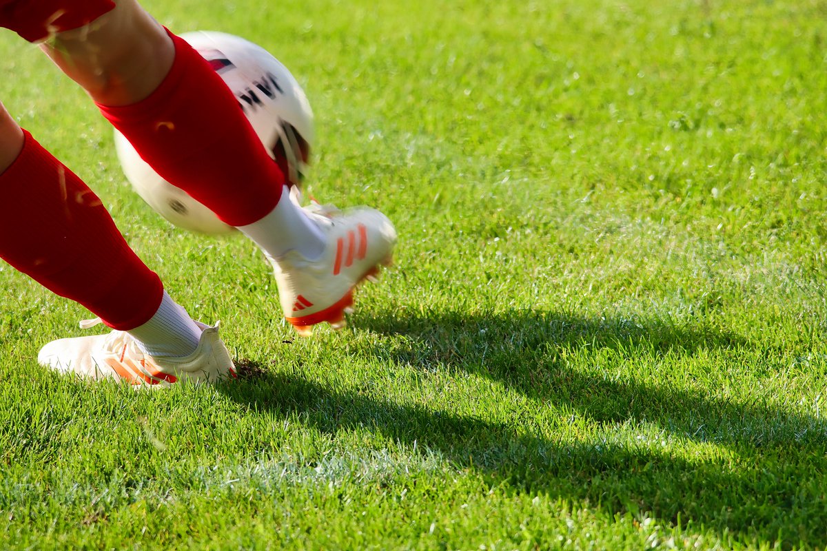 #Opinie #PaulWanner Te grote hype: ‘Twijfels over PSV-speler’ dlvr.it/TQx3zz