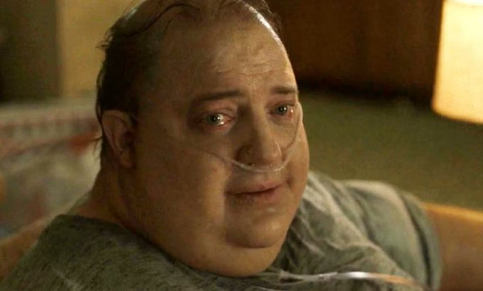 TwinkLit42's tweet image. Bloodborne fans don't even complain anymore that they don't get a remaster or a sequel they just look at you like this