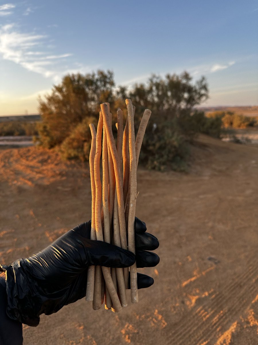 متجر ابو حنش للسواك tweet media