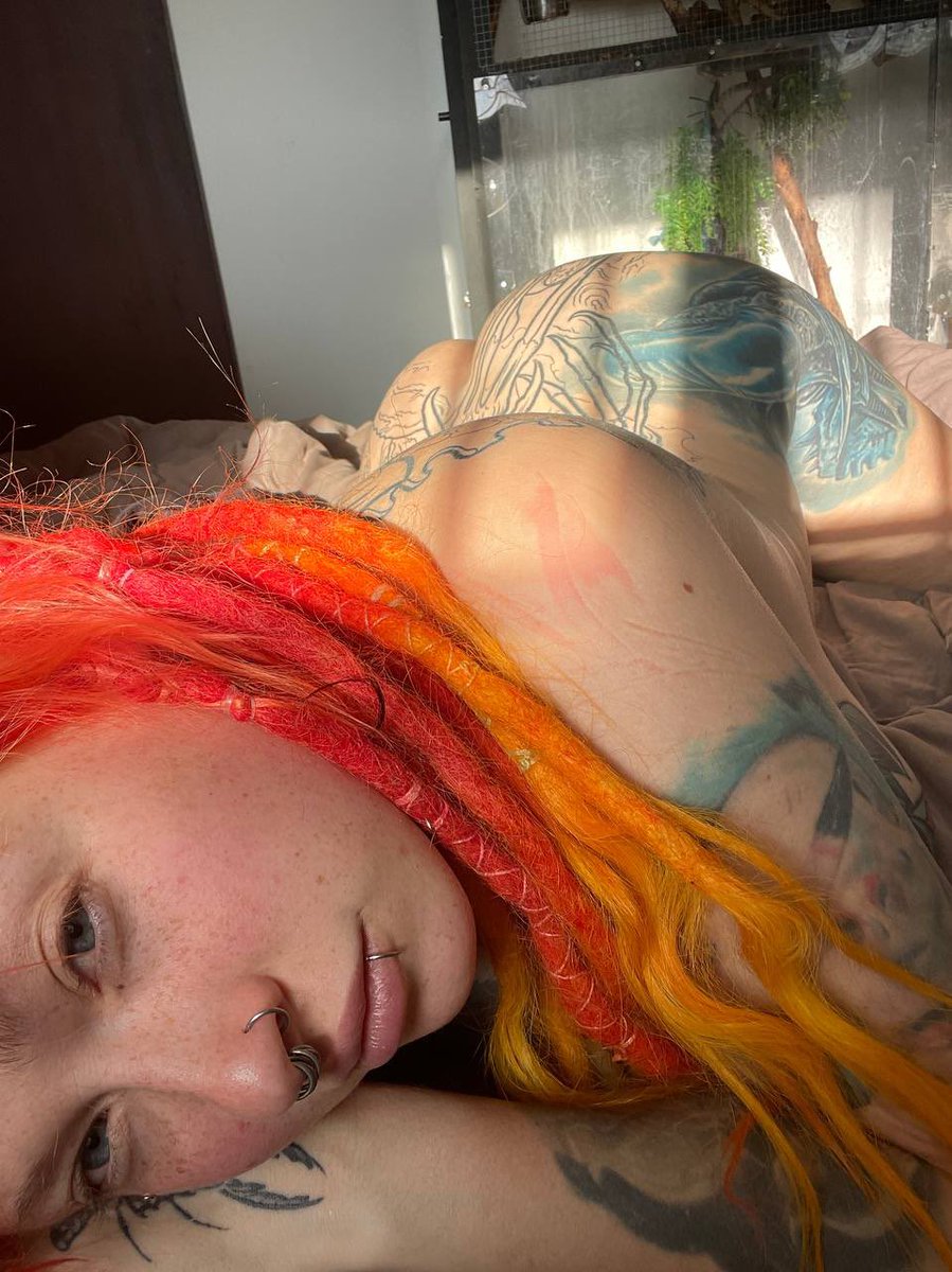 Micky Bottenberg tweet media