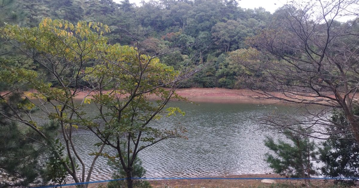noburusandayo's tweet photo. 岡山県浅口市、藤波池キャンプ場。 ソロもグルキャンも輝く、穏やかな湖畔の時間。 のんびりしたい週末に最高の場所でした。
詳細はブログにて！ 
https://t.co/OqjWTY3AZ1
#藤波池キャンプ場 #キャンプ #岡山 #キャンプ好きな人と繋がりたい https://t.co/yKvUjRrbwf