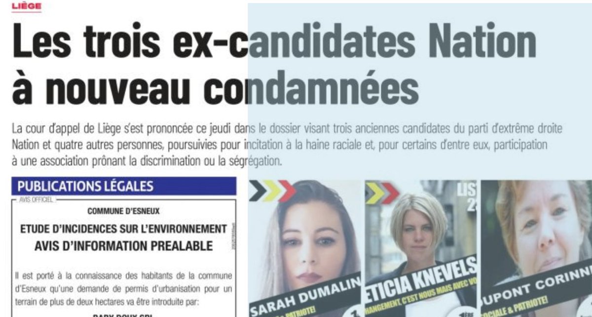 michelhenrion's tweet image. #IncitationALaHaine/La Cour d’Appel de Liège s’est prononcée  jeudi dans le dossier visant trois anciennes candidates du parti d’extrême droite #Nation et quatre autres personnes, poursuivies pour incitation à la haine raciale et, pour certains d’entre eux, participation  à une