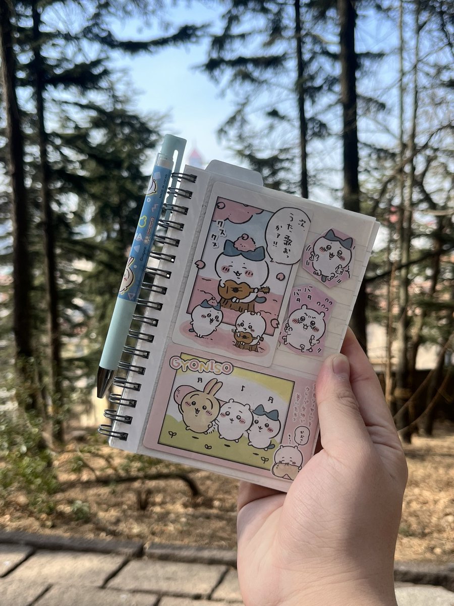 迪拉熊肥猪川 tweet media
