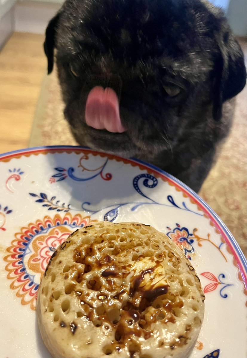 The Brindled Brothers tweet media