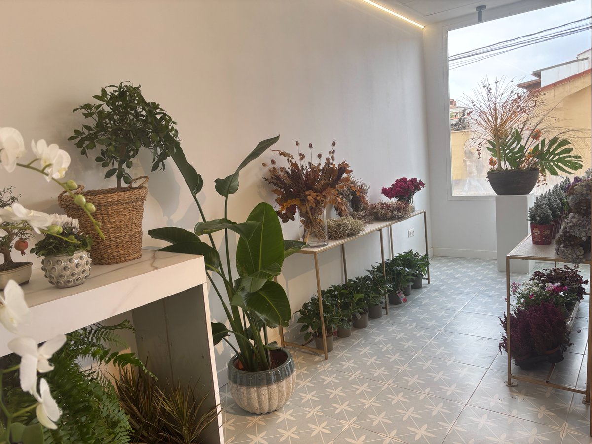 Invierte en Cuenca tweet media