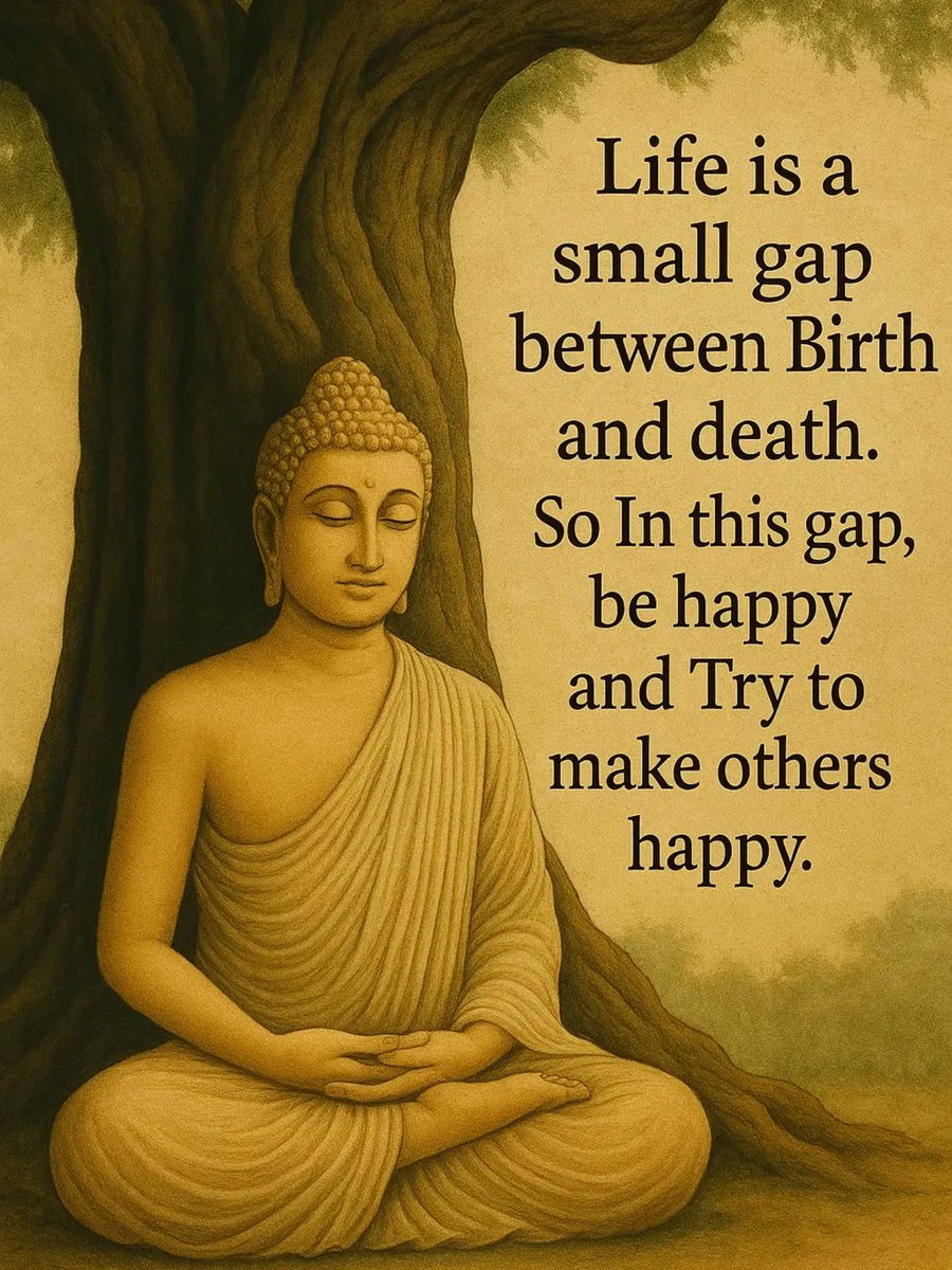 Seek Wiser tweet media