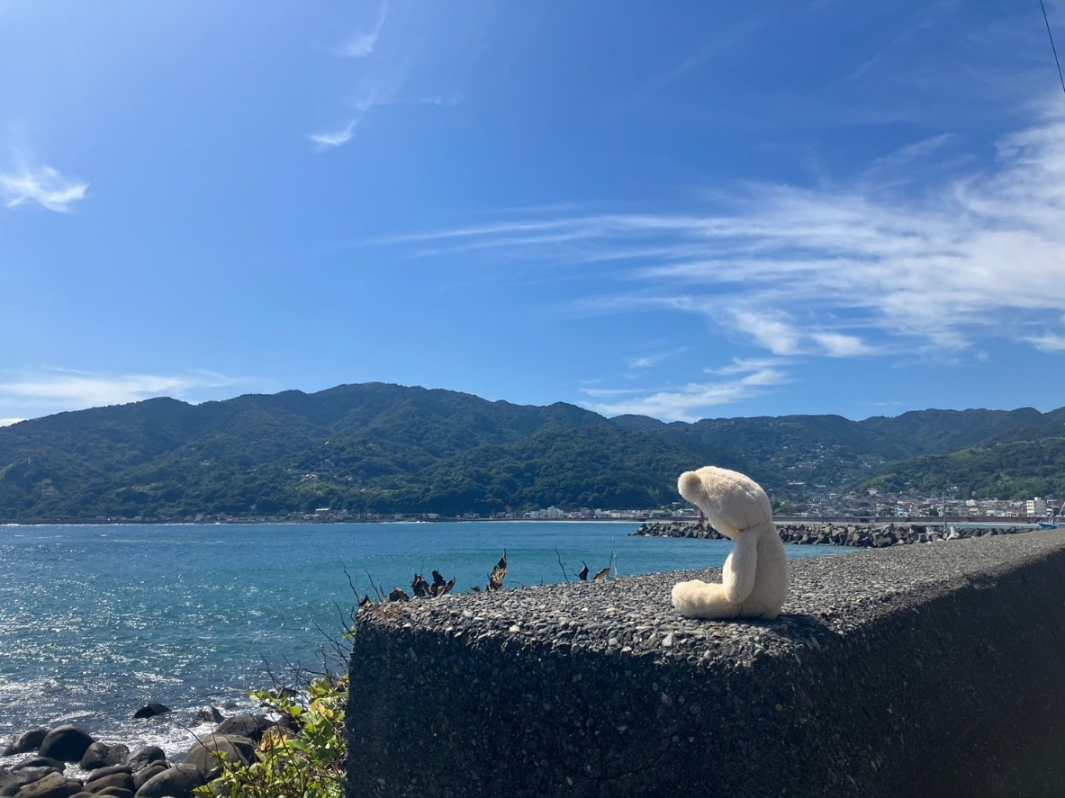 #脱出の最中
神保町シネマリスで2/27より3/12まで、2週間上映です。

ロケハンで熱海の浜を通りかかったときカメラマンの村上拓也さんがここはヤンヤンのロケ地ですよと言うのでおおーってなった。a one and a two…（写真は熱海ではありません）

「ヤンヤン 夏の思い出」もシネマリスで上映中