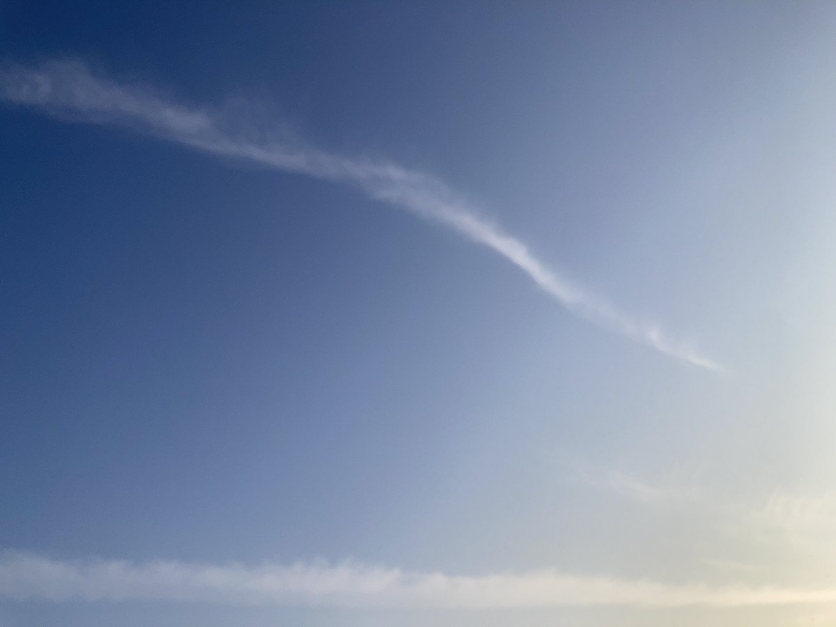 さなやん tweet media