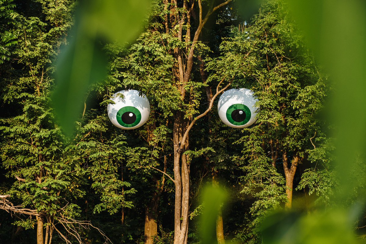 台湾南部 #高雄市 の市民の憩いの場として整備された果嶺自然公園に