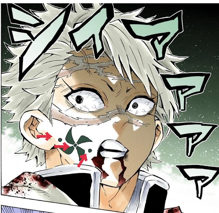 I’m afraid I still couldn’t quite understand it even after translating, so I’d really appreciate it if you could clarify.🙏

Does this mean that Giyu and Sanemi both have the same three circular marks in their demon slayer marks? 🤔