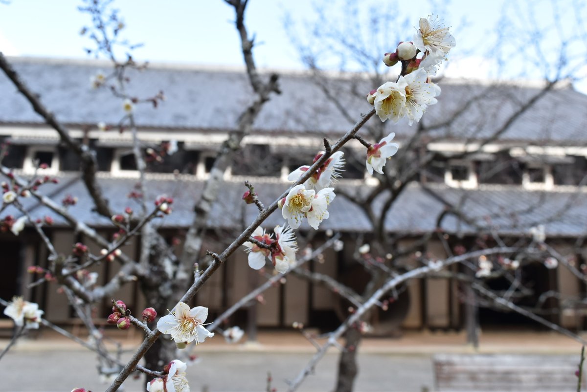 ☆YASS☆ (@tubuyakiyass) / Posts / X