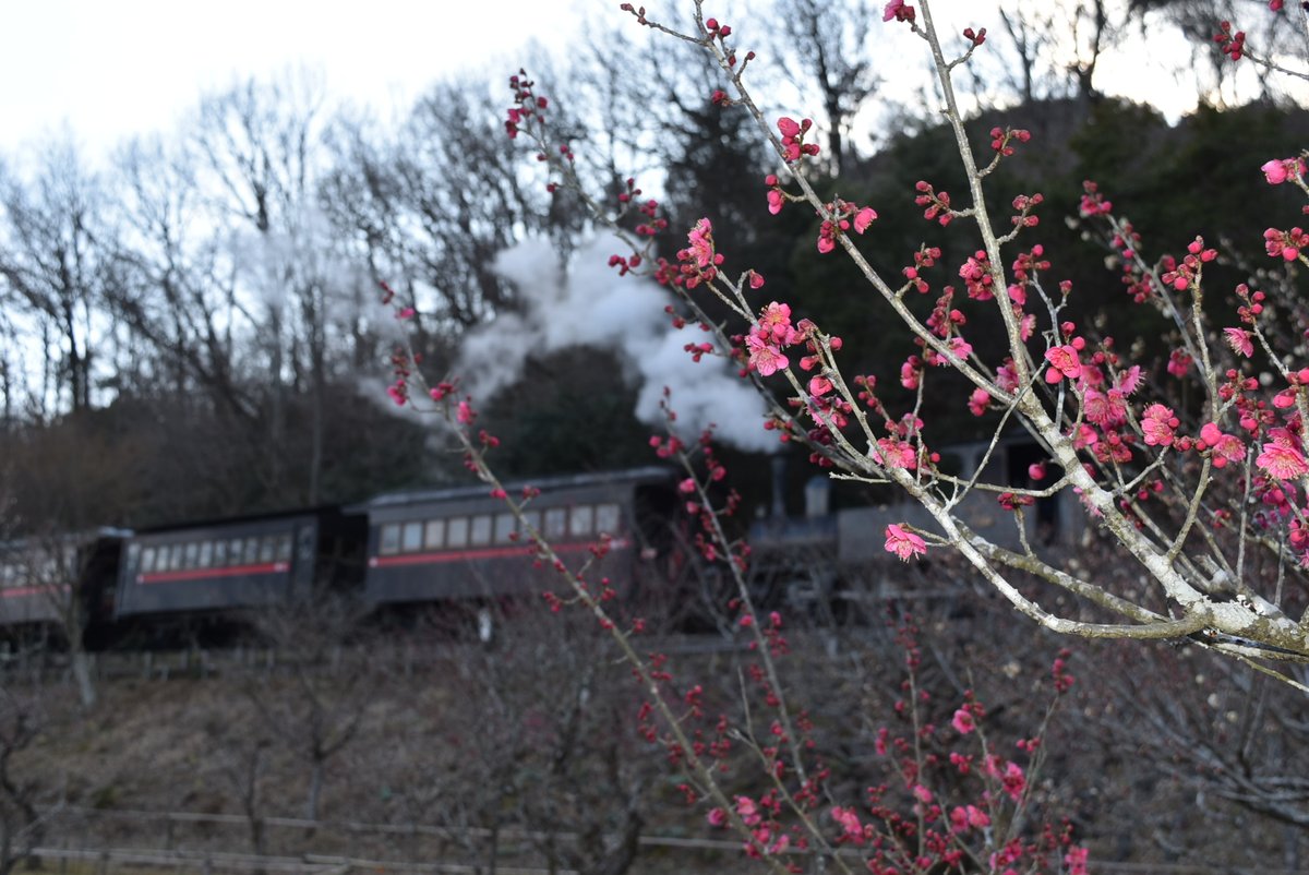 ☆YASS☆ (@tubuyakiyass) / Posts / X