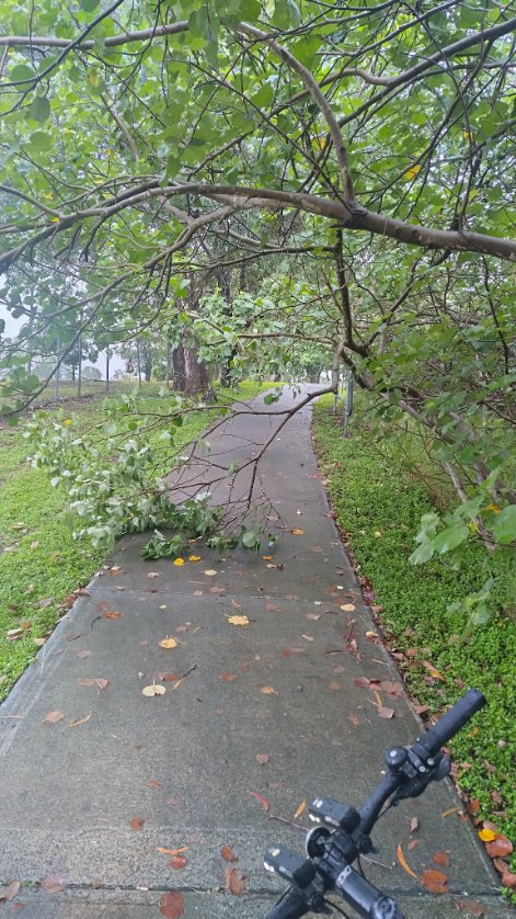 Brisbane CBD BUG tweet media