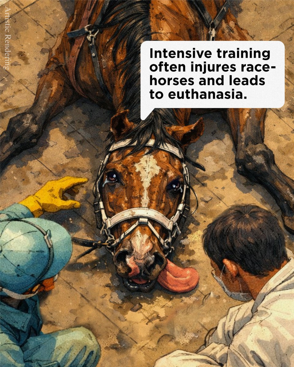 Horses are forced to race, break down, and die for human entertainment 💔🐴

This #YearOfTheHorse, celebrate horses by saying no to horse races and rides.