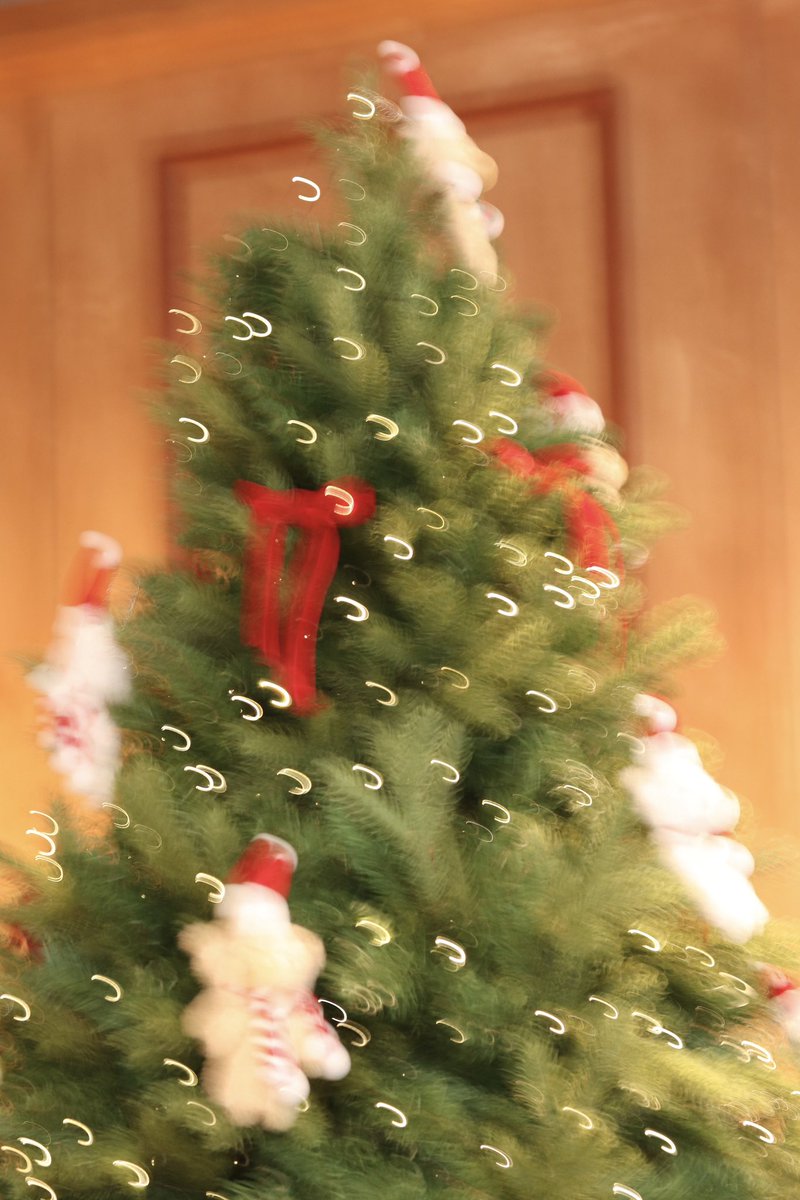 ୨♡୧뱌퓨୨♡୧ 𝘀𝗹𝗼𝘄❄️ tweet media