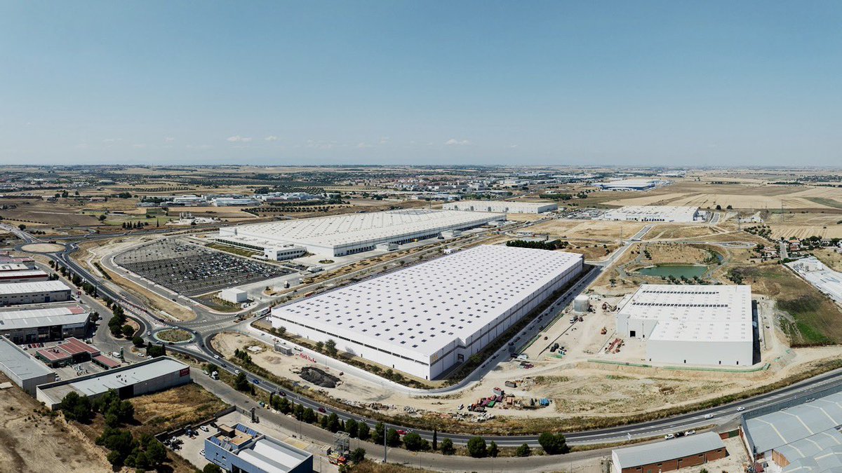 BaboonLab tweet media