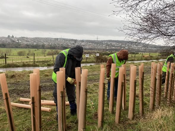 Tree Time tweet media
