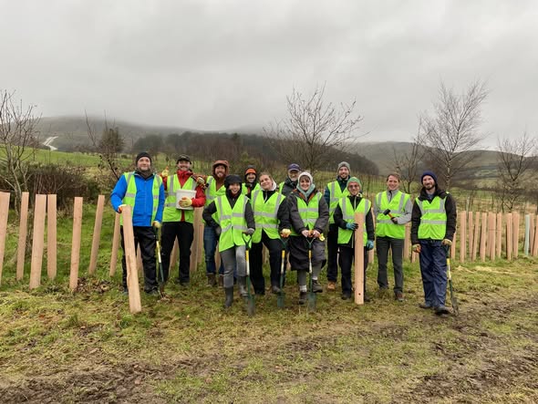 Tree Time tweet media