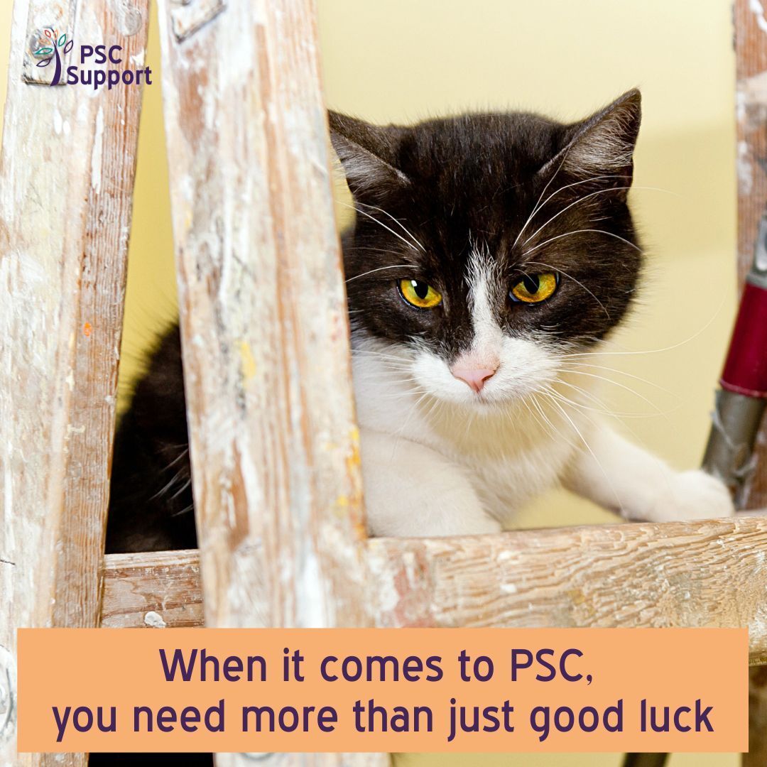 PSCSupportUK's tweet image. At #PSCSupport, we leave the superstitions at the door, focusing on:
🟣 Fact-checked, evidence-based information
🟢 Quality-assured resources you can trust
🟠 The latest clinical research and medical guidance
ℹ️ buff.ly/Yn1QQhE #FridayThe13th #LiverDisease #LetsBeatPSC