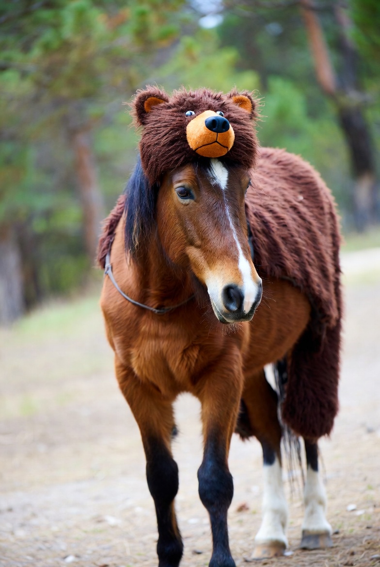 🐎马年要来了呢

大家期待吗