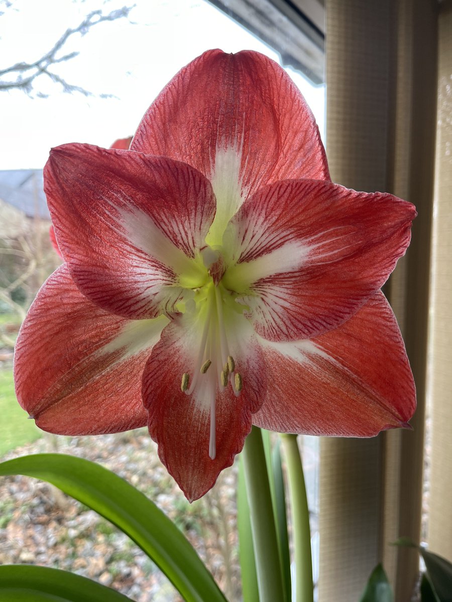 Gillian Higham tweet media