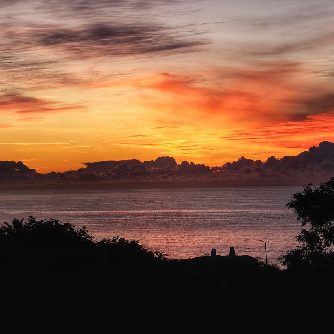 Un paseo, muchos paisajes 🚶‍♂️ Desde pueblos históricos y senderos del interior hasta acantilados, vida silvestre y amplias vistas al océano. El Algarve va cambiando a lo largo del camino pero siempre enamora 🌊🌿
#Algarve #VisitAlgarve
📷 baurjoe
📍Algarve, Portugal