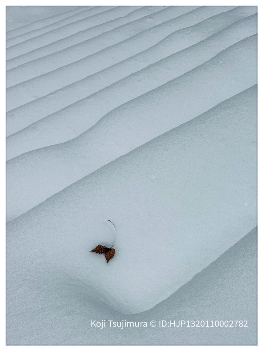 雪の日、仰木から横川への道路が通行止めで小椋神社から安楽律院へ。