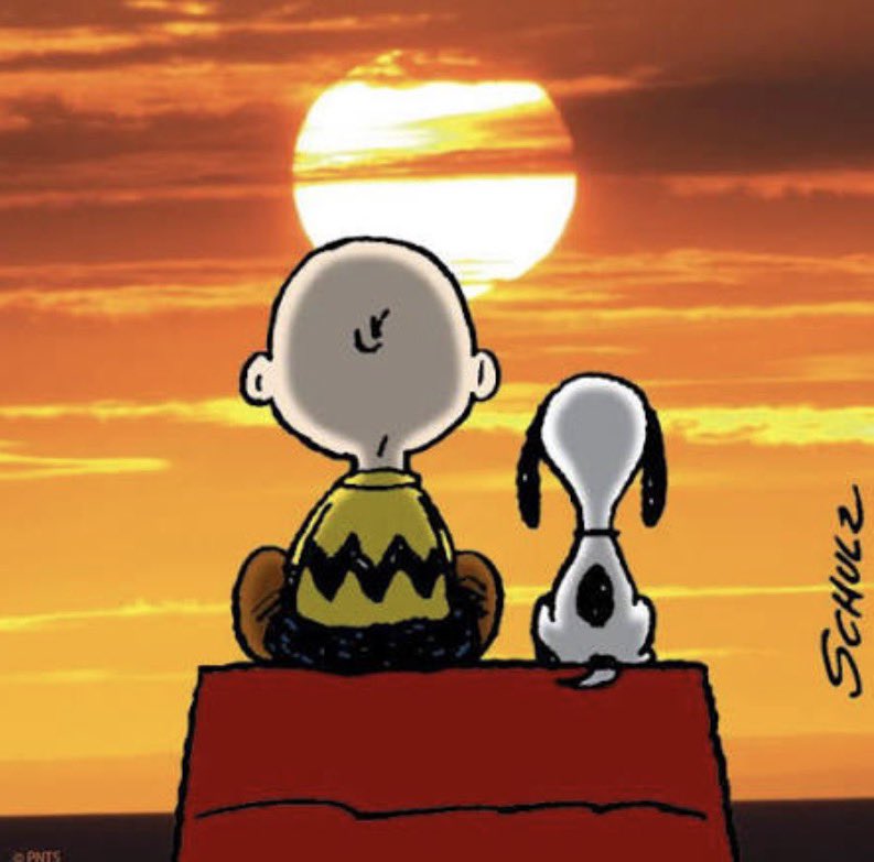 Johanna Kukka tweet media